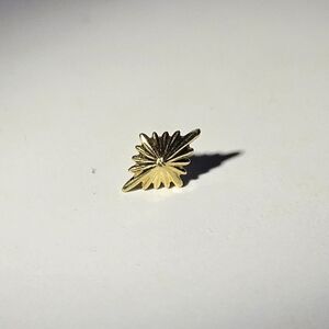 Regalia "4 AM" Solid Gold Threadless Piercing End - USED
